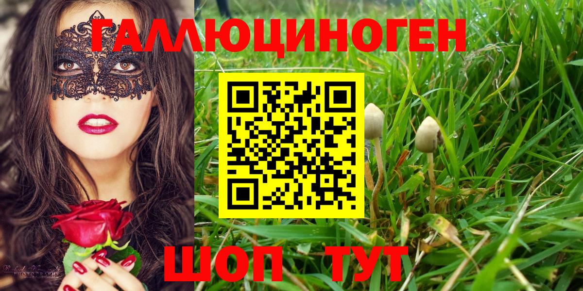 Сосновый Бор  Галлюциногенные грибы Psilocybine cubensis  Вход с VPN 